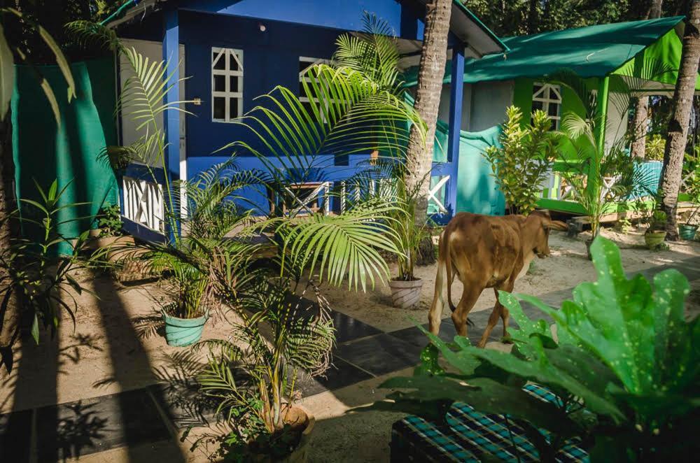 Secret Beach Bungalows, Palolem Exteriér fotografie